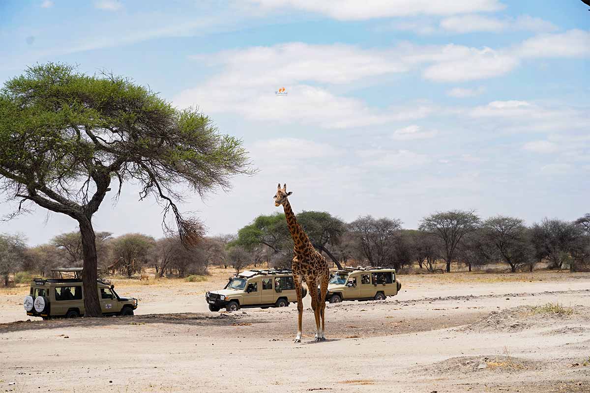 Serengeti National Park